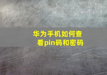 华为手机如何查看pin码和密码