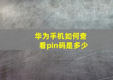 华为手机如何查看pin码是多少