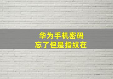 华为手机密码忘了但是指纹在