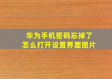 华为手机密码忘掉了怎么打开设置界面图片