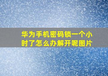 华为手机密码锁一个小时了怎么办解开呢图片