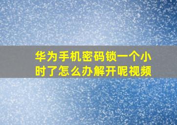 华为手机密码锁一个小时了怎么办解开呢视频