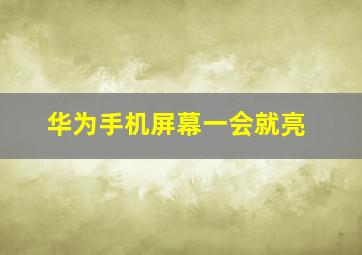 华为手机屏幕一会就亮