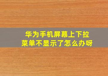 华为手机屏幕上下拉菜单不显示了怎么办呀