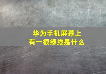 华为手机屏幕上有一根绿线是什么