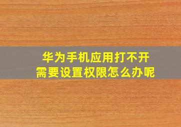 华为手机应用打不开需要设置权限怎么办呢