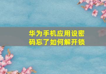 华为手机应用设密码忘了如何解开锁