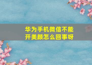 华为手机微信不能开美颜怎么回事呀