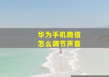 华为手机微信怎么调节声音