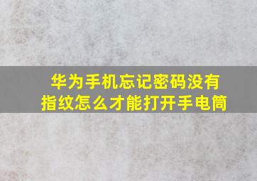 华为手机忘记密码没有指纹怎么才能打开手电筒