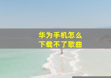 华为手机怎么下载不了歌曲