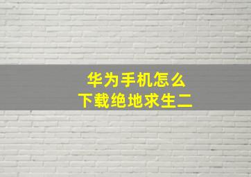 华为手机怎么下载绝地求生二