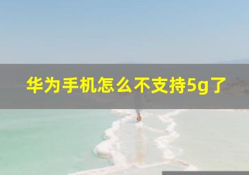 华为手机怎么不支持5g了