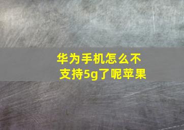 华为手机怎么不支持5g了呢苹果