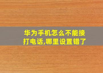 华为手机怎么不能接打电话,哪里设置错了