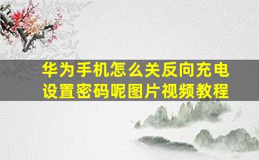 华为手机怎么关反向充电设置密码呢图片视频教程