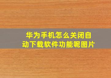 华为手机怎么关闭自动下载软件功能呢图片