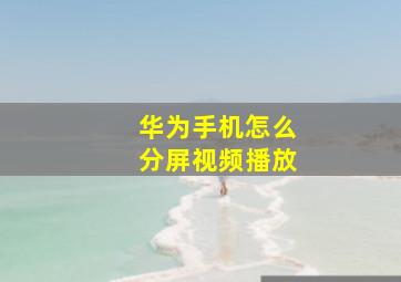 华为手机怎么分屏视频播放