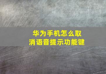 华为手机怎么取消语音提示功能键