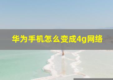 华为手机怎么变成4g网络