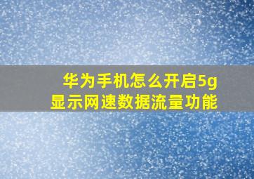 华为手机怎么开启5g显示网速数据流量功能