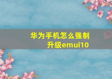 华为手机怎么强制升级emui10