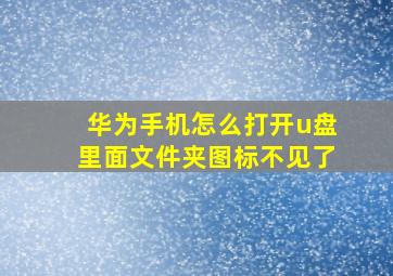 华为手机怎么打开u盘里面文件夹图标不见了