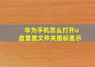 华为手机怎么打开u盘里面文件夹图标显示