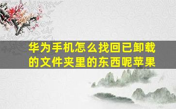 华为手机怎么找回已卸载的文件夹里的东西呢苹果