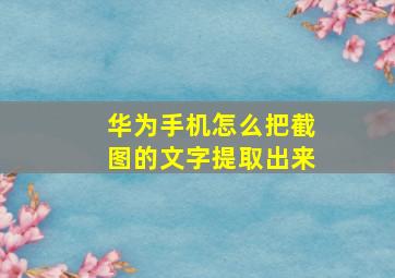 华为手机怎么把截图的文字提取出来