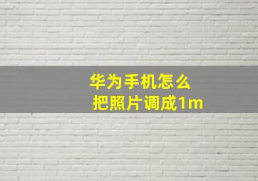 华为手机怎么把照片调成1m