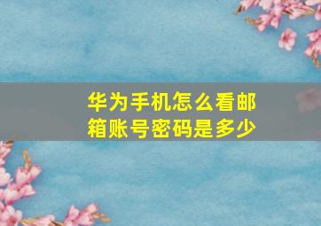 华为手机怎么看邮箱账号密码是多少