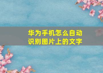 华为手机怎么自动识别图片上的文字