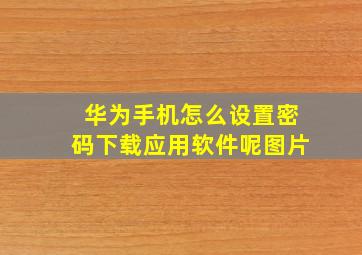 华为手机怎么设置密码下载应用软件呢图片