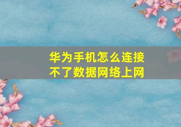 华为手机怎么连接不了数据网络上网