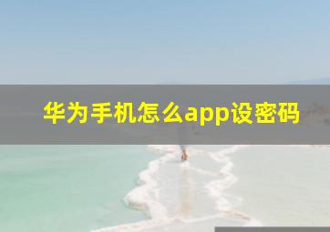 华为手机怎么app设密码