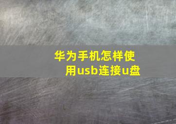 华为手机怎样使用usb连接u盘