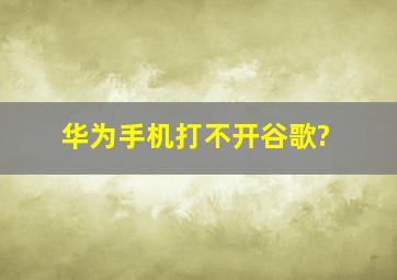 华为手机打不开谷歌?