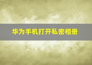 华为手机打开私密相册