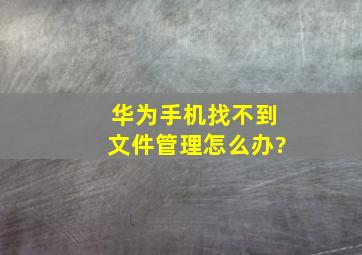 华为手机找不到文件管理怎么办?