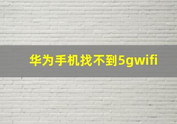 华为手机找不到5gwifi