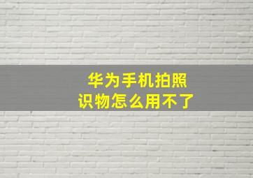 华为手机拍照识物怎么用不了