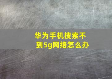 华为手机搜索不到5g网络怎么办