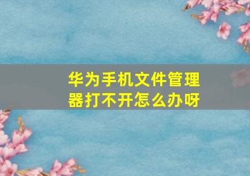 华为手机文件管理器打不开怎么办呀