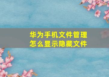 华为手机文件管理怎么显示隐藏文件