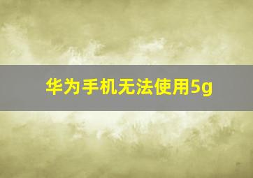 华为手机无法使用5g