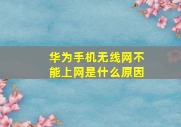 华为手机无线网不能上网是什么原因