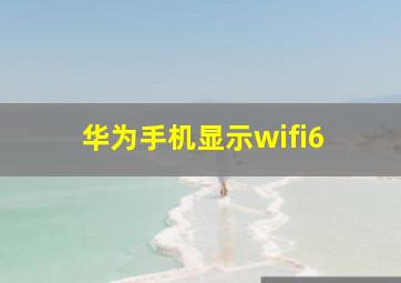 华为手机显示wifi6+