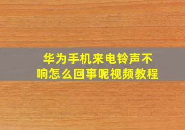 华为手机来电铃声不响怎么回事呢视频教程