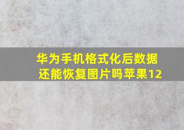 华为手机格式化后数据还能恢复图片吗苹果12